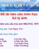 Đề tài: Nghiên cứu cấu trúc ảnh IMG,PCX, TIFF, PNG