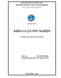 Khóa luận tốt nghiệp Tài chính Ngân hàng: Phân tích tình hình tài chính tại Công ty TNHH Đầu tư Thương mại Hoàng Nam Phát