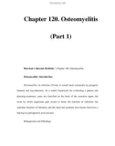 Chapter 120. Osteomyelitis (Part 1)