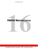 RMAN Maintenance