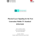 Master of Science thesis: Physical layer signaling for the next generation mobile TV standard DVB-NGH