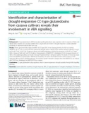 Identification and characterization of drought-responsive CC-type glutaredoxins from cassava cultivars reveals their involvement in ABA signalling