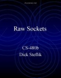 Raw Sockets