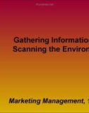 Gathering Information and Scanning the Environment