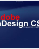 Adobe In Design CS2 (P1)