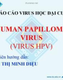 Báo cáo Virus học đại cương: Human Papillomavirus (Virus HPV)