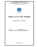 Khóa luận tốt nghiệp Kế toán - Kiểm toán: Hoàn thiện công tác kế toán thanh toán với người mua, người bán tại Công ty TNHH Việt Trường