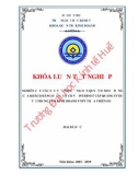 Khóa luận tốt nghiệp Quản trị kinh doanh: Nghiên cứu các yếu tố ảnh hưởng đến quyết định sử dụng của khách hàng đối với dịch vụ Internet cáp quang FTTH Tại trung tâm kinh doanh VNPT TT-Huế