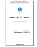 Khoá luận tốt nghiệp: Một số giải pháp nâng cao hiệu quả hoạt động tín dụng tại Ngân hàng thương mại cổ phần Sài Gòn Công Thương – chi nhánh Hải Phòng