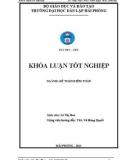 Khoá luận tốt nghiệp: Hoàn thiện công tác tổ chức kế toán doanh thu, chi phí và xác định kết quả kinh doanh tại công ty Cổ phần Công nghiệp Việt Hoàng