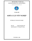 Khóa luận tốt nghiệp Quản trị doanh nghiệp: Giải pháp marketing nhằm đẩy mạnh tiêu thụ sản phẩm của công ty Cổ phần dịch vụ thương mại đầu tư Thái Anh