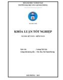 Khoá luận tốt nghiệp: Hoàn thiện công tác lập và phân tích Bảng cân đối kế toán tại Công ty TNHH Máy tính Việt Nhật