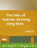 Tìm hiểu về hợp tác xã trong nông thôn