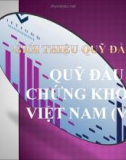 GIỚI THIỆU QUỸ ĐẦU TƯ CHỨNG KHOÁN VIỆT NAM (VFF1)