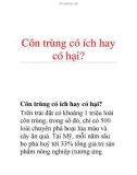 Côn trùng có ích hay có hại?