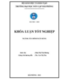 Khoá luận tốt nghiệp: Giải pháp nâng cao hiệu quả huy động vốn tiền gửi tại Ngân hàng Thương mại Cổ phần Nam Việt – Chi nhánh Hải Phòng