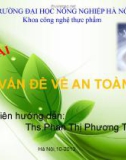 Đề tài Các Vấn Đề An Toàn Sữa