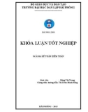 Khoá luận tốt nghiệp: Hoàn thiện công tác kế toán bán hàng và xác định kết quả bán hàng tại Chi nhánh công ty Cổ Phần và Thương Mại Dịch Vụ Ngọc Hà tại Hải Phòng