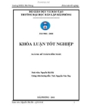 Khoá luận tốt nghiệp: Hoàn thiện tổ chức công tác kế toán doanh thu, chi phí và xác định kết quả kinh doanh tại công ty TNHH một thành viên Cảng Hải Phòng