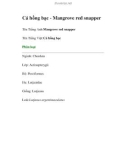 Cá hồng bạc - Mangrove red snapper