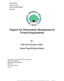 Support for Information Management in Virtual Organizations