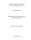 Doctoral thesis in Economics: Bank restructuring and efficiency the case of Vietnam