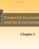 The Financial Accounting and Its Environment