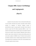 Chapter 080. Cancer Cell Biology and Angiogenesis (Part 9)