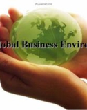 the global business environment