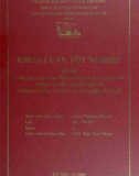 Khóa luận tốt nghiệp: Chiến lược kinh doanh của các công ty du lịch Việt Nam trong quá trình hội nhập quốc tế. Trường hợp công ty dịch vụ du lịch đường sắt Hà Nội