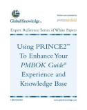 Using Prince2 to Enhance guide experience and knowledge base