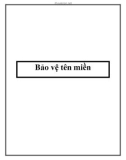 Bảo vệ tên miền