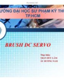 BRUSH DC SERVO