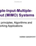 Multiple-Input-Multiple- Output (MIMO) Systems