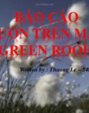 BÁO CÁO VƯỜN TRÊN MÁI GREEN ROOF