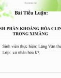 Bài Tiểu Luận:  THÀNH PHẦN KHOÁNG HÓA CLINKER TRONG XIMĂNG