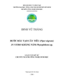 BƢỚC ĐẦU TẠO CÂY TIÊU (Piper nigrum) IN VITRO KHÁNG NẤM Phytophthora sp