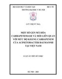 Luận án Tiến sĩ Y học: Một số gen mã hoá cacbapenemase và mối liên quan với mức độ kháng carbapenem của Acinetobacter baumannii tại Việt Nam