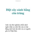 Diệt cây cảnh bằng côn trùng