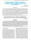 Kết quả xác định loài V. Haveyi, V. Vulnificus, V. Parahaemolyticus, V. Alginolyticus trên cá chẽm nuôi tại Khánh Hòa