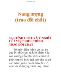 Năng lượng (trao đổi chất)