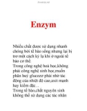 Tài liệu: Enzym