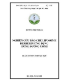 Luận án Tiến sĩ Dược học: Nghiên cứu bào chế liposome berberin ứng dụng dùng đường uống