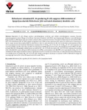 Helicobacter-stimulated IL-10-producing B cells suppress differentiation of lipopolysaccharide/Helicobacter felis-activated stimulatory dendritic cells