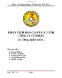 PHÂN TÍCH BÁO CÁO TÀI CHÍNH CÔNG TY CỔ PHẦN ĐƯỜNG BIÊN HÒA