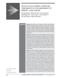 Value of dual-energy computed tomography in the assessment of primary lung cancer