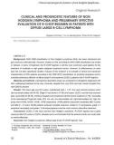 Clinical and prognostic features of non hodgkin lymphoma and preliminary effective evaluation of R-CHOP  regimen in patients with diffuse large B cell lymphoma