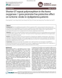 Shorter GT repeat polymorphism in the heme oxygenase-1 gene promoter has protective effect on ischemic stroke in dyslipidemia patients