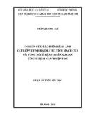 Luận án Tiến sĩ Y học: Nghiên cứu đặc điểm hình ảnh cắt lớp vi tính đa dãy hệ tĩnh mạch cửa và vòng nối ở bệnh nhân xơ gan có chỉ định can thiệp TIPS