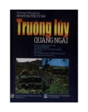 Trường luỹ Quảng Ngãi